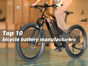 top 10 bicycle battery manufacturers