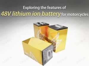 Exploration des caractéristiques des batteries lithium-ion 48V pour motos