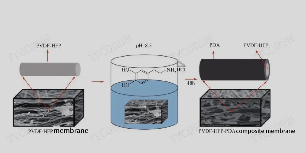 Préparation d'une membrane composée de PVDF-HFP-PDA