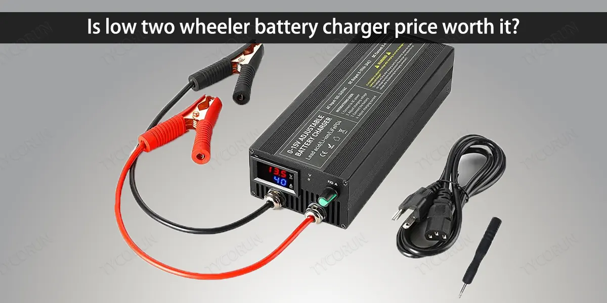 Is-low-two-wheeler-battery-charger-price-worth-it