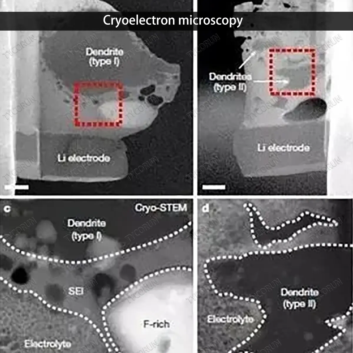 Microscopía crioelectrónica